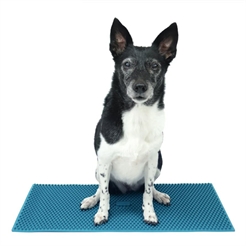 FitPaws K9 Fitmat Trænings Måtte 60 x 30 Cm